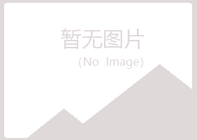 鹤岗兴山从灵化学有限公司